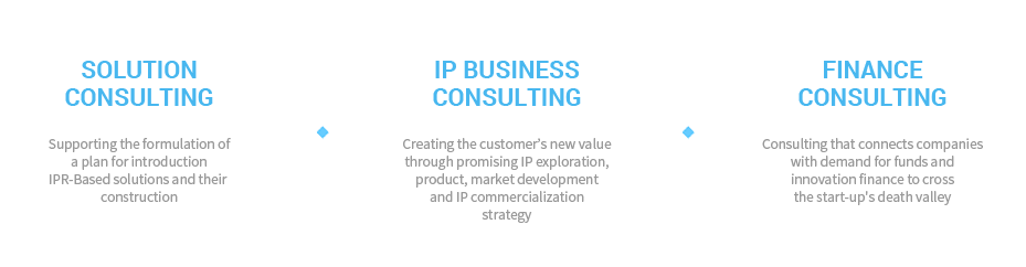 Consulting : Solution Consulting, IP Business Consulting, Finance Consulting