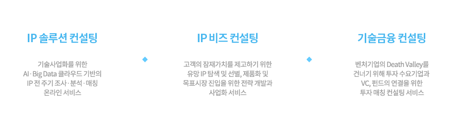 Consulting : Solution Consulting, IP Business Consulting, Finance Consulting